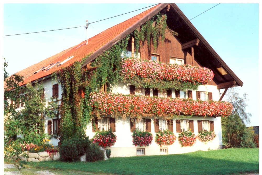 Auf diesem Bild aus dem Jahre 1992 sind die beiden Balkone nur zu erahnen. Die üppige Blütenpracht zeigt, mit wie viel Liebe Irmgard sich ihren Pflanzen widmete. © Irmgard Kinzelmann Blütenpracht