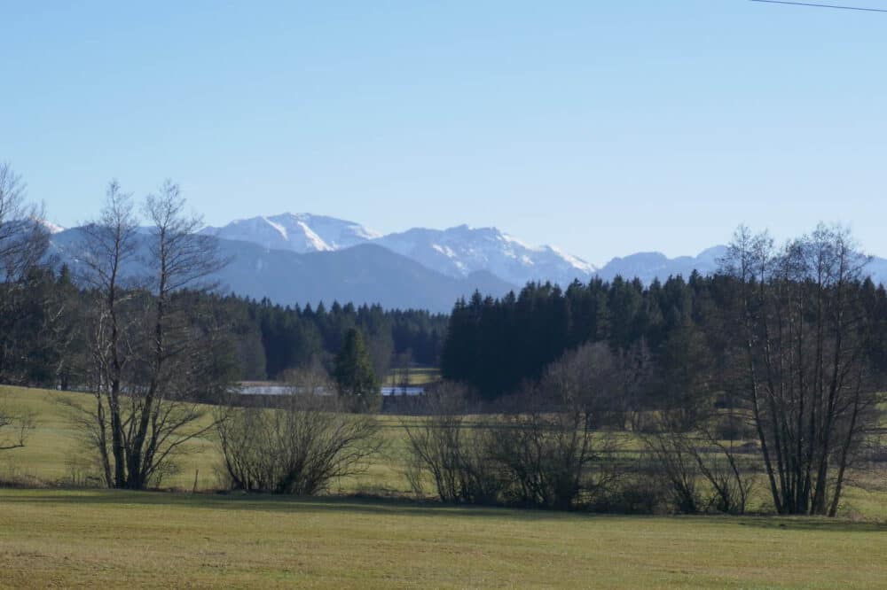 Die Berge zum Greifen nah: Inmitten von Bergpanorma und Moorwiesen befindet sich die Hirschau. © Tanja Saß Alpen mit Wiese