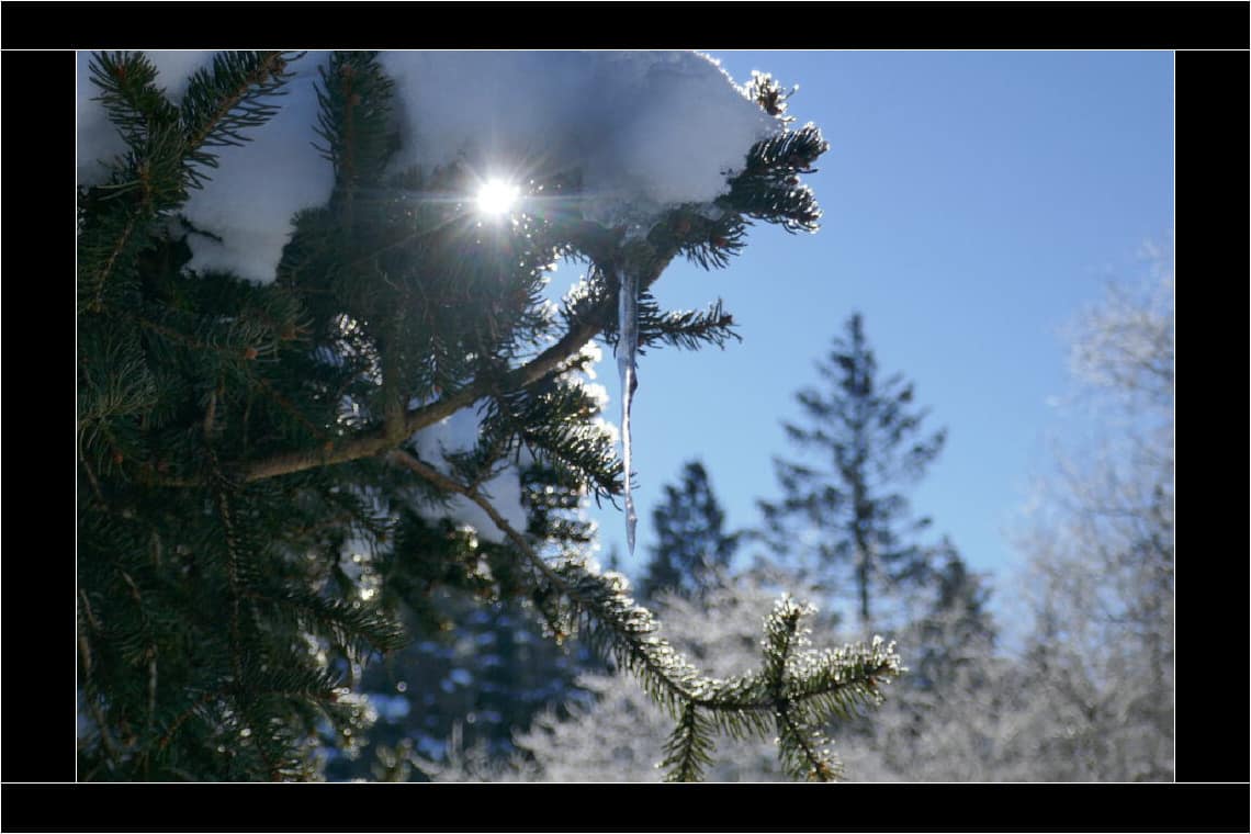 Zu jeder Jahreszeit traumhaft schön: Winterzauber in der Hirschau. © Tanja Saß Hirschau im Winter